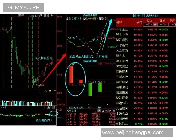 里昂主力阵容全面解析及其在比赛中的表现分析